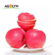 AGOLYN Fresh Apples Qinguan Sweety Apple